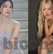 大象做梦文化传媒-大象做梦文化传媒，编织梦想与文化的奇妙织锦