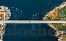 国产高潮流白浆91麻豆-国产影视新宠，解析高潮流白浆91麻豆的独特魅力与市场需求