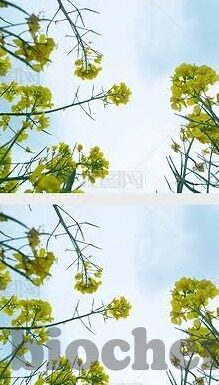 麻豆91激情综合-