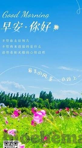 麻豆av午夜精品-审视边缘文化，麻豆AV午夜精品的社会与文化透视