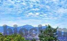 麻豆视频91视频-窥视背后的细语，网络社会与麻豆视频91现象的隐形探讨