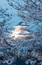 免费一区二区三区视频-免费一区二区三区视频，网络时代的娱乐新选择