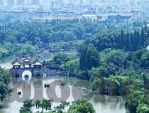 糖心vlog激活码-解锁糖心vlog的精彩，解锁码的探秘之旅