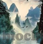 中文字幕资源网-探索中文字幕资源网的多元化与价值
